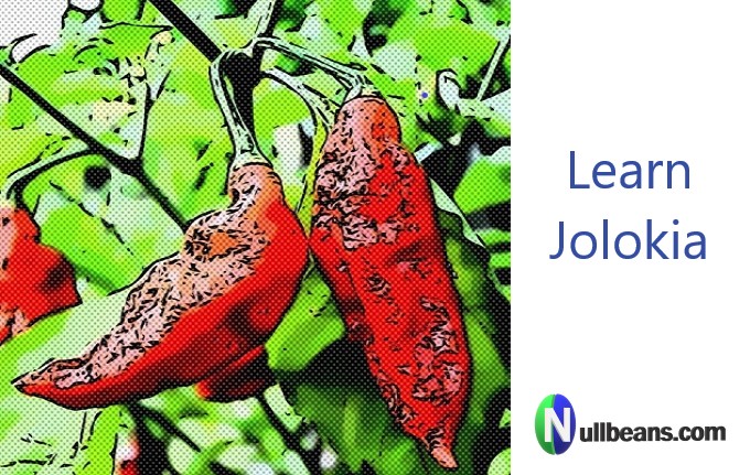 How to configure Jolokia on a Spring boot server
